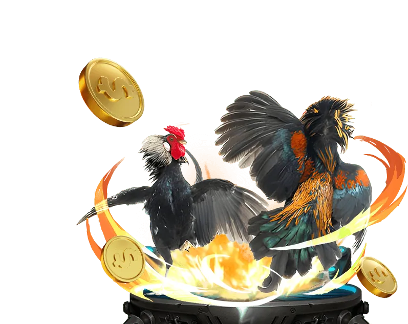 Các nền tảng đá gà Mỹ cựa dao hàng đầu 2026